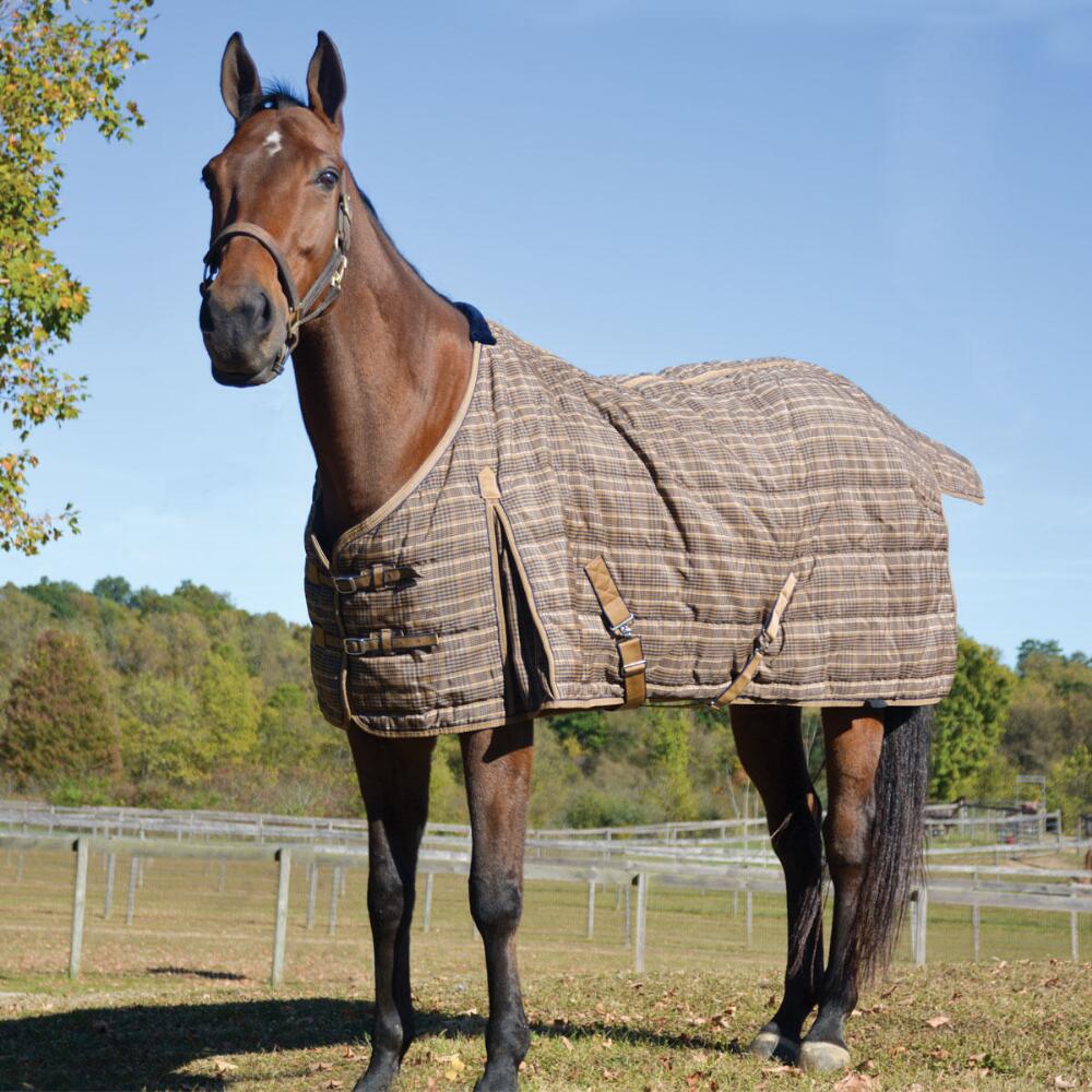 Country Pride Highland 1200D Midweight Stable Blanket